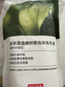 京东京造抑菌泡沫洗手液橡木林香氛400ml补充装抑菌率99.9%臻护口腔级抑菌 实拍图