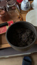 大益TAETEA茶叶普洱茶熟茶 如意沱茶盒装 100g/沱 口粮茶 中华老字号  实拍图