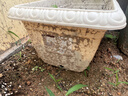 爱丽思（IRIS）长方形树脂花盆长条型专用蔬菜绿植草莓种植种菜盆阳台果蔬种植盆 【长37cm】约6L 浅米色 1个装 实拍图
