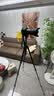 曼富图（Manfrotto）三脚架 MKELESLLCBK-BH青影扳锁碳纤维带球形云台单反微单相机摄影摄像旅行三脚支架 实拍图