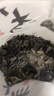双塔黑木耳250g 东北特产干木耳小碗耳肉厚凉拌火锅食材南北干货 实拍图