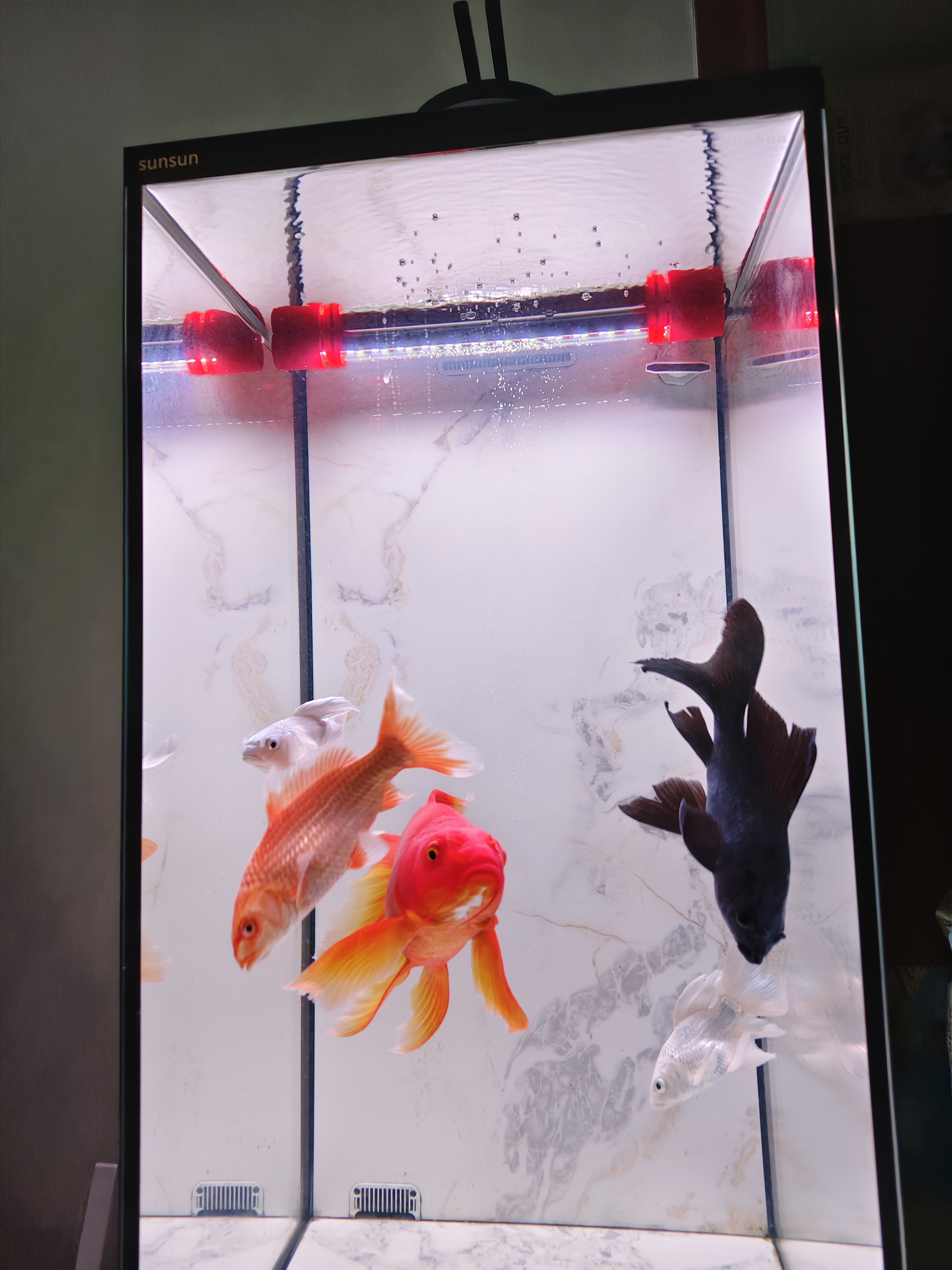 马印神灯龙鱼灯专用水族箱灯三基色增色灯水草鱼缸灯 led灯防水 马印增艳神灯(36CM-(10W)) 实拍图
