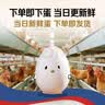 京鲜生【供港品质】【每日鲜蛋】叶黄素可生食鸡蛋30枚3.78斤/盒 礼盒  实拍图