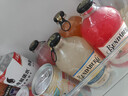 宾得宝（Bundaberg）含气饮料混合装375ml*6瓶 8口味随机发货 澳洲节日春游果汁气泡水 实拍图