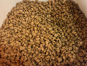 皇家美短成猫粮 ASA31 通用粮 12月以上 10KG 实拍图