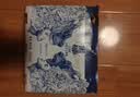 黑狮啤酒【雪花旗下高端品牌】白啤500ml*12听 全麦艾尔工艺酿造 晒单实拍图
