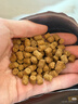 皇家狗粮 成犬狗粮 犬粮 宠物大型犬 GR26全价犬粮≥15月15KG 实拍图