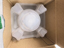 佳能（Canon）RF50mm F1.8 STM 大光圈定焦镜头 微单相机人像镜头  RF卡口适用r50 r10  r7 r62 小痰盂镜头 实拍图