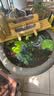流水趣 竹排竹子流水循环摆件流水器上半部庭院客厅阳台陶瓷荷花缸造景 【组合】中53*35cm缸＋竹排+底座 实拍图