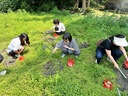 联想小新Pro16/小新16 2026年补贴15%轻薄笔记本电脑GT可选 AI元启高性能 学生手提办公本 标压酷睿 【高配】酷睿i7-13620H 24G 1TB｜小新16 国家补贴 16英寸大屏 实拍图