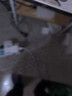 嘉士利饼干零食营养早餐饼干牛奶味836g/整箱 独立小包装休闲食品 实拍图