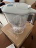 碧然德（BRITA）家用净水壶 滤水壶滤芯 MAXTRA+LE 去水垢专家滤芯 1枚装 实拍图