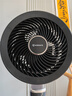 艾美特（AIRMATE）【旗舰金天鹅】空气循环扇语音智能遥控电风扇直流变频家用安静轻音一级能效落地扇负离子净化电扇 实拍图