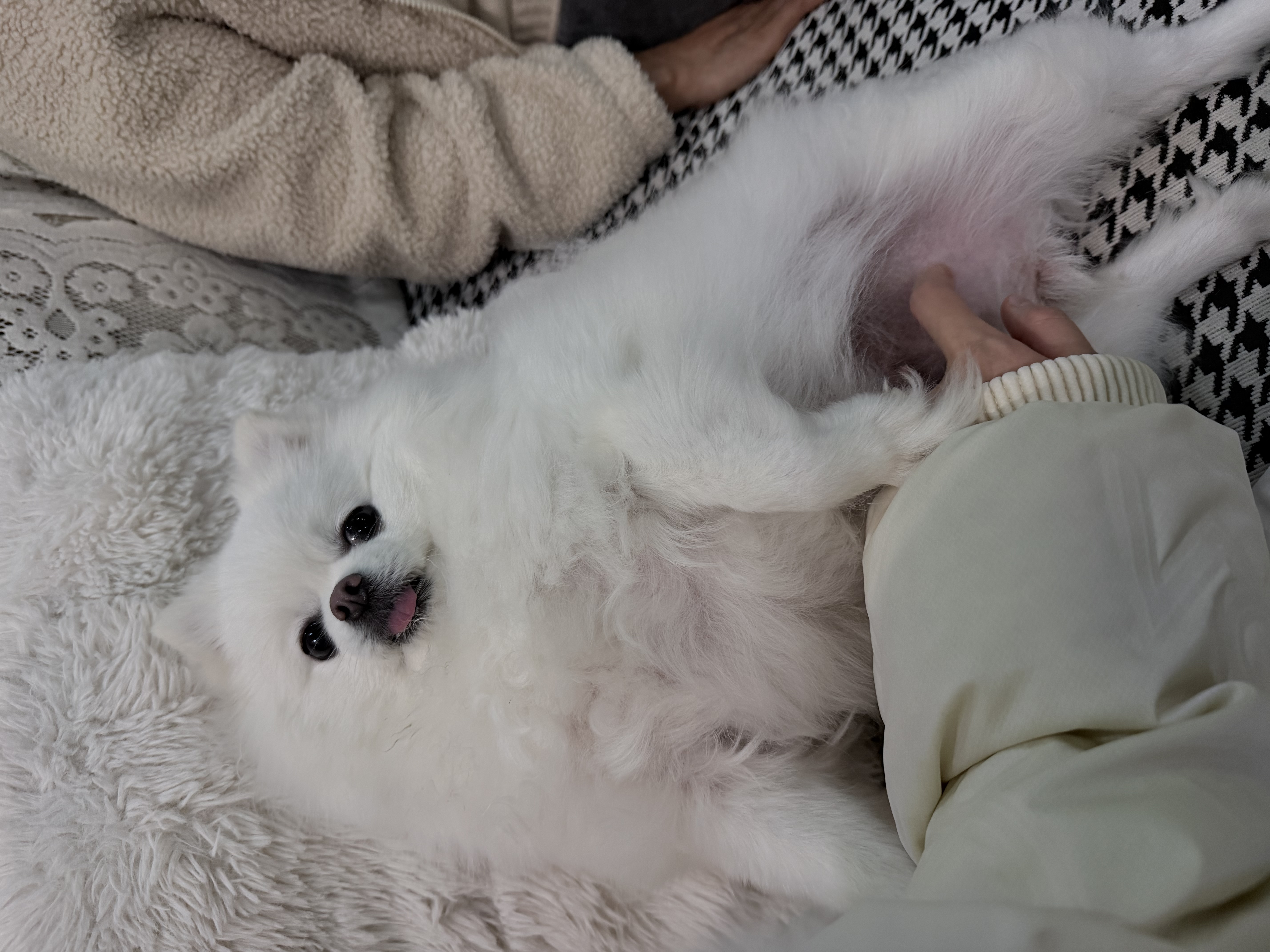 葆氏儿童衣架婴儿多功能晾衣撑子宝宝家用无痕防滑晒衣钩可伸缩20个装 实拍图