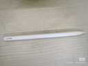 Apple/苹果 Pencil Pro 磁吸触控笔手写笔苹果笔电容笔书写绘画ipad笔 适用于iPad Pro/Air/mini机型 实拍图