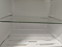 新飞冰箱小型租房用 一级能效冷 藏冷冻两用1-2人家用小冰箱 出租房双门电冰箱办公室两门 26年升级 86A一级能效【高性价比】银 晒单实拍图