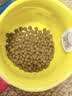 力狼（LILANG）鲜肉猫粮深海三文鱼磷虾成猫幼猫通用型美毛护胃全价猫粮2kg 实拍图