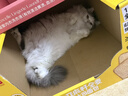 卫仕 五拼冻干全价全阶段猫粮 猫干粮 成猫幼猫高蛋白粮 山海盛宴 6kg 实拍图
