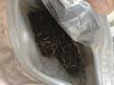 陈一凡滇红茶叶 古树滇红茶工夫红茶新茶蜜香型自己喝口粮茶250g 实拍图