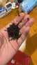 凤牌 红茶 云南滇红 特级工夫红茶250g 茶叶 中华老字号 实拍图