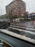 蓝海豚德国雨敌汽车玻璃防雨剂200ml后视镜防雨膜驱水剂喷雾疏水镀膜 实拍图