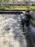 童励御剑飞行手势遥控飞剑无人机儿童小学生小型飞机玩具航模男孩女孩 实拍图