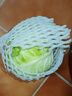 高原夏菜新鲜包菜卷心菜绿甘南菜甘蓝圆白菜时令蔬菜健康营养早餐 3斤净重农家好菜 实拍图
