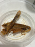 振城【官方】香辣鸭中翅鸭翅零食品辣味小吃休闲风干熟食油炸下酒宵夜 振城香辣鸭中翅200g/包 实拍图