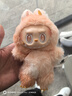 小熊（Bear）火锅专用锅 电火锅 电锅一体多功能锅家用电热锅料理涮煮肉锅具2000W猛火D60P3  6L 实拍图