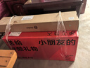 九号（Ninebot）电动平衡车代步电动车腿控智能礼物双轮腿控体感L6白色定制礼盒款 实拍图