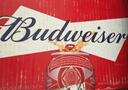 百威（Budweiser）经典纯生淡色拉格啤酒 500ml*18听整箱装 踏春送礼 实拍图