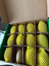 佳沛（zespri）新西兰 阳光金奇异果12粒特大果单果124-146g 猕猴桃水果礼盒 实拍图