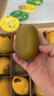 佳沛（zespri）新西兰 阳光金奇异果12粒特大果单果124-146g 猕猴桃水果礼盒 实拍图