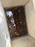 神鲨3.1米15节9门长形地龙渔网捕鱼网工具捕虾笼鱼虾网笼地网笼渔具 实拍图