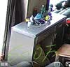 普联（TP-LINK） 600万全景鱼眼全彩无线摄像头家用监控器360无线家庭室内tplink可对话网络手机远程门口IPC56CE 实拍图