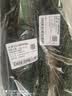 长黄瓜约600g 实拍图