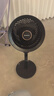 艾美特（AIRMATE）【旗舰金天鹅】空气循环扇语音智能遥控电风扇直流变频家用安静轻音一级能效落地扇负离子净化电扇 实拍图