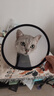 欢宠网伊丽莎白圈猫宠物狗猫咪狗狗绝育软项圈头套脖套防舔防咬脖圈耻辱 实拍图