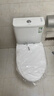 九牧（JOMOO）11173-2-1/31KD-3大力神家用马桶虹吸抗菌节水洁具305坑距 实拍图