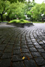 松下24-60mm F2.8全画幅微单相机标准变焦镜头（Panasonic）（S-E2460GK）L卡口 风景 肖像 特写 实拍图