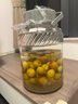 喜碧（Scybe）食品级玻璃罐泡酒容器泡酒瓶腌菜泡菜坛子酿酒药酒坛福瑞5L 实拍图