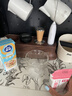 菲诺 厚椰乳 椰浆椰奶椰汁生椰拿铁 咖啡奶茶店专用迷你装 植物乳 0糖厚椰乳125g*4盒 实拍图