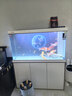 森森（SUNSUN）大型鱼缸底过滤水族箱客厅家用落地玻璃生态金鱼缸 【实时温显+灯控】珍珠白 1.2米长35cm宽 实拍图