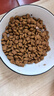 皇家狗粮 雪纳瑞幼犬狗粮 犬粮 宠物小型犬 SNJ30全价犬粮2-10月1.5KG 实拍图