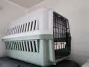 腆宠  宠物航空箱大号 猫咪航空箱猫狗 猫包猫笼外出车载猫箱狗狗托运 实拍图