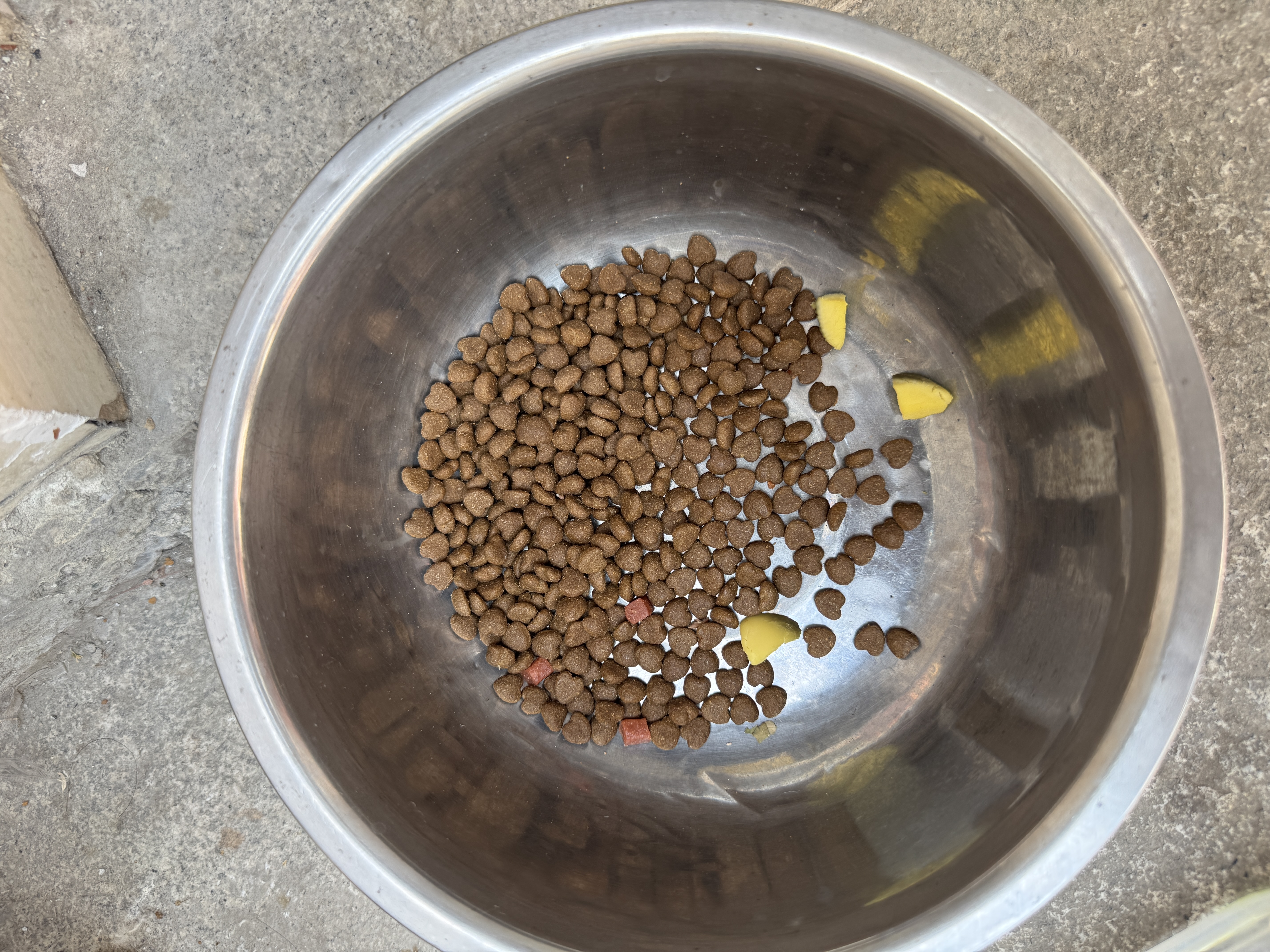 万颐狗粮肉粒肉松三拼金毛泰迪成犬幼犬小中大型犬通用狗干粮10kg 实拍图