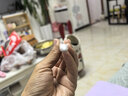 Apple/苹果 Pencil(第一代) 带USB-C转换器 触控笔手写笔苹果笔电容笔 适用部分iPad 11/Pro/Air机型 实拍图