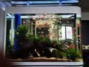 欧宝鱼缸水族箱客厅大型家用生态玻璃水族箱金鱼缸屏风玄关 1.2米长 底滤 实拍图