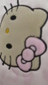 野兽派家居（tbh）三丽鸥Hello Kitty大号绗缝旅行收纳袋手提大容量洗漱包 粉色豹纹 实拍图