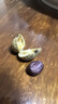 俏己食黑花生带壳原味黑皮生花生米新鲜山东特产富硒下酒菜解馋零食1斤 实拍图